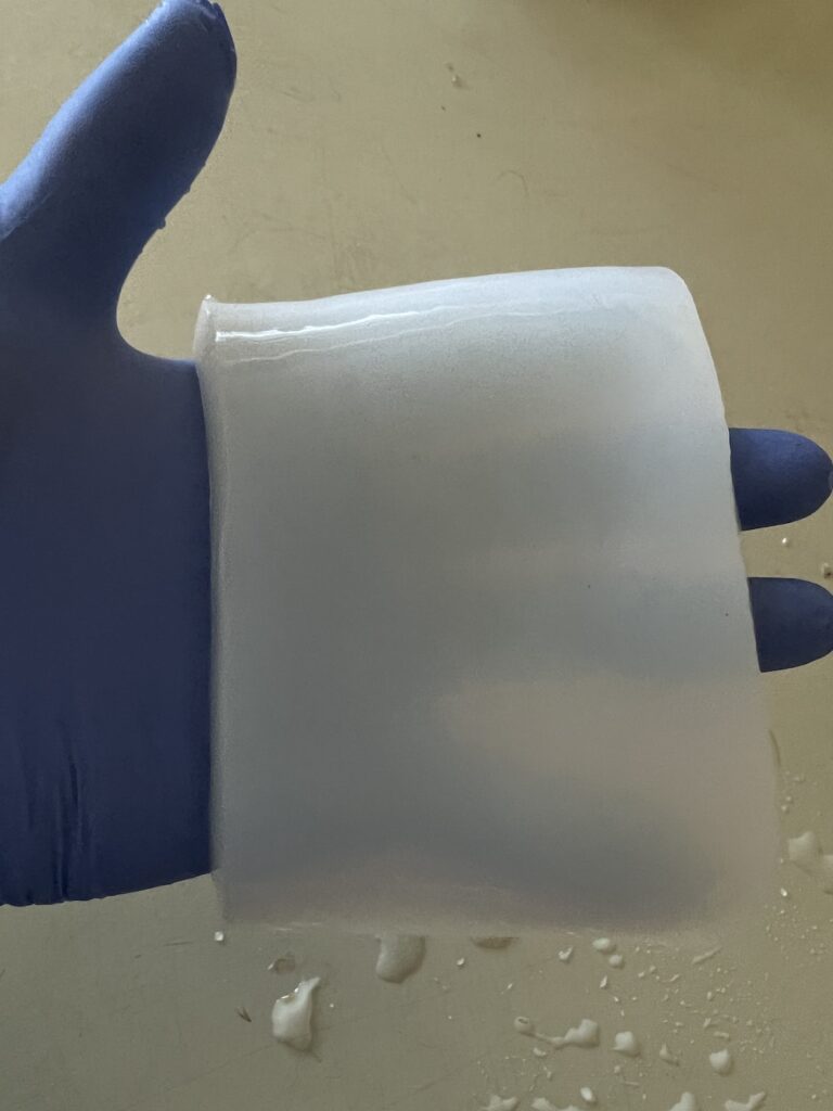 Bacterial Cellulose Sheet 2 cm thickness, rehydrated
