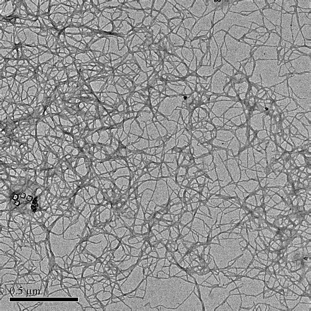CNF (NFC, MFC): Cellulose Nanofibrils (nanofibrillated cellulose