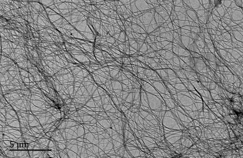 Bacterial Cellulose (BC) , bacterial nanocellulose TEM picture