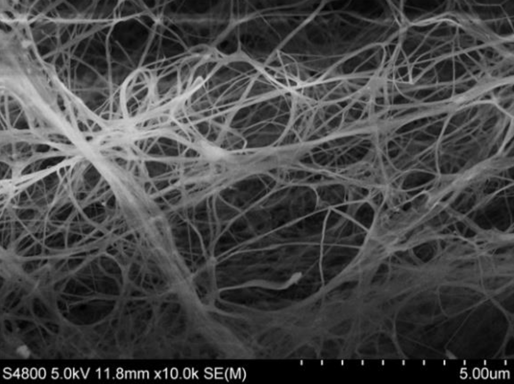 Bacterial Cellulose (BC) , bacterial nanocellulose TEM picture